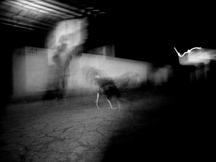 http://www.peterodriscollphotography.com/files/gimgs/14_34513059402af7a7c7e2o.jpg