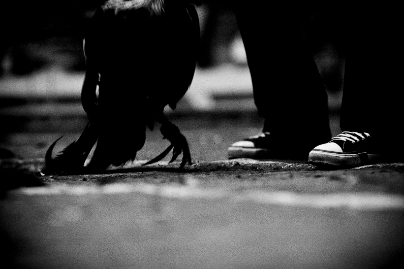 http://www.peterodriscollphotography.com/files/gimgs/14_3451336920faa312f12co.jpg