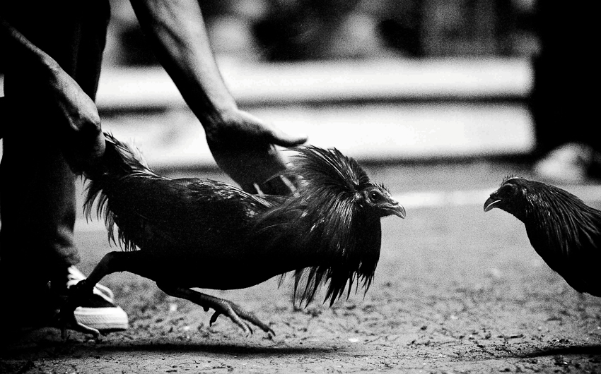 http://www.peterodriscollphotography.com/files/gimgs/14_345135755022ed45ca03o.jpg