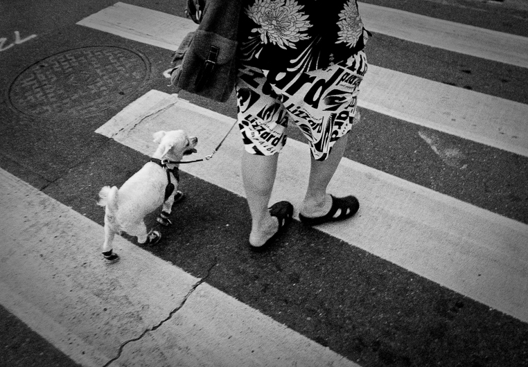 http://www.peterodriscollphotography.com/files/gimgs/22_r0015965.jpg