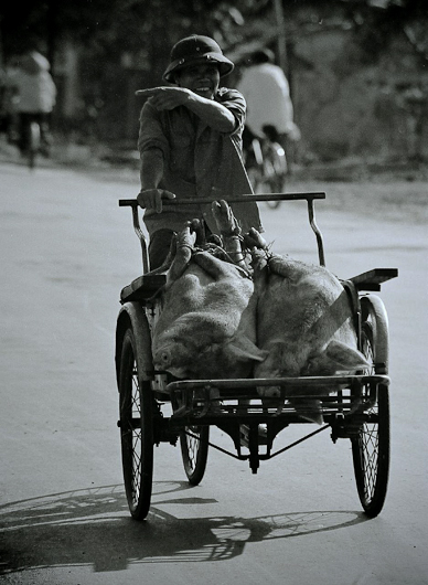 http://www.peterodriscollphotography.com/files/gimgs/28_2321497103e499b1d377o.jpg