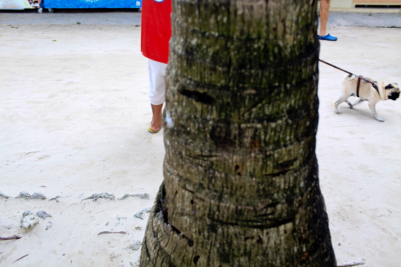 http://www.peterodriscollphotography.com/files/gimgs/37_bora2012-4.jpg