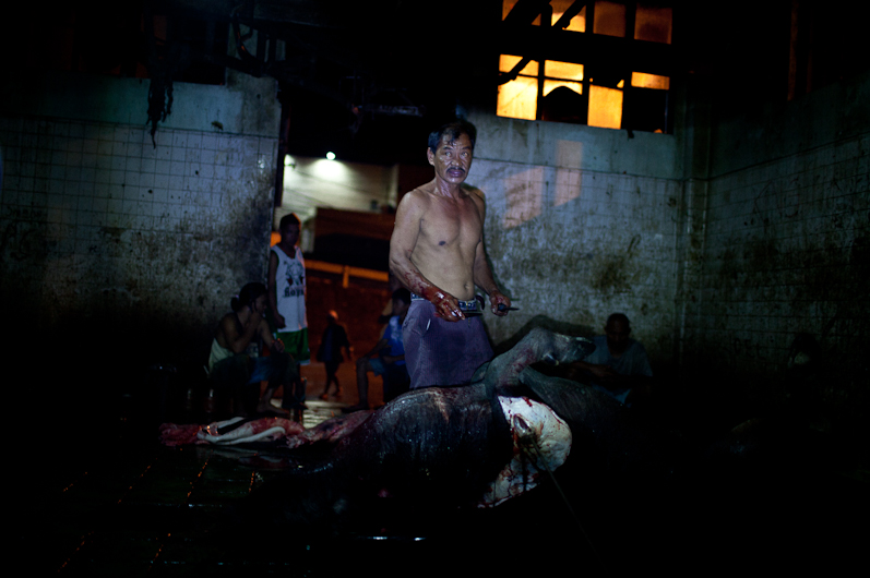 http://www.peterodriscollphotography.com/files/gimgs/40_life-blood-2-small.jpg