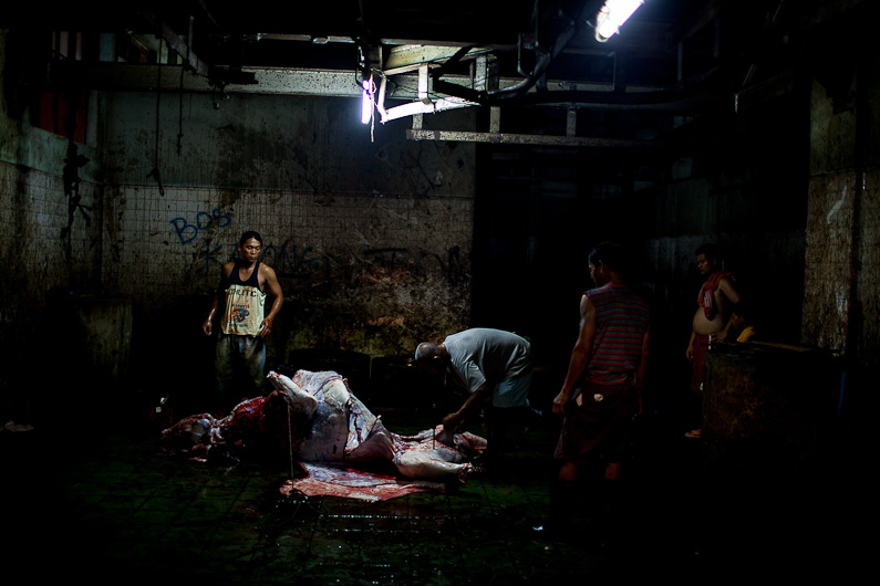 http://www.peterodriscollphotography.com/files/gimgs/40_lifeblood-10.jpg