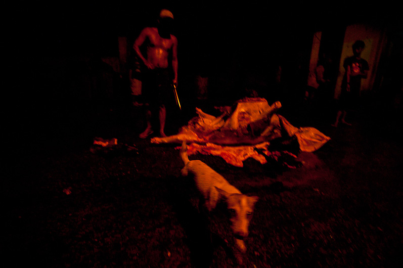 http://www.peterodriscollphotography.com/files/gimgs/40_lifeblood-14.jpg