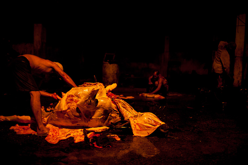 http://www.peterodriscollphotography.com/files/gimgs/40_lifeblood-15.jpg