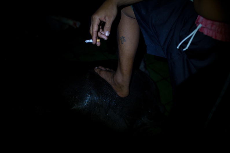 http://www.peterodriscollphotography.com/files/gimgs/40_lifeblood-18.jpg