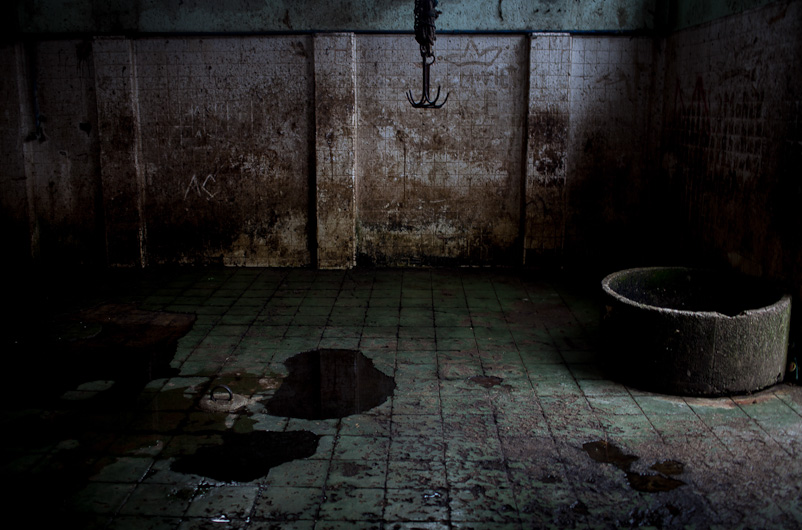http://www.peterodriscollphotography.com/files/gimgs/40_lifeblood-2.jpg