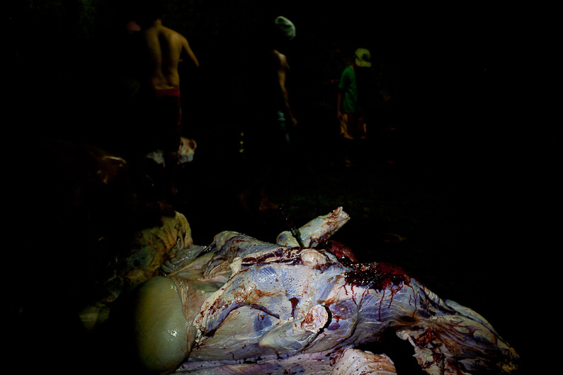 http://www.peterodriscollphotography.com/files/gimgs/40_lifeblood-20.jpg