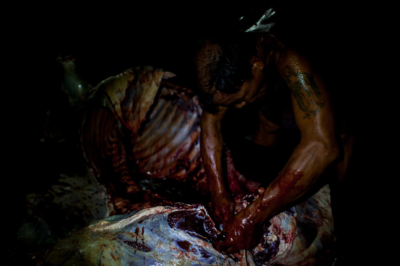 http://www.peterodriscollphotography.com/files/gimgs/40_lifeblood-21.jpg