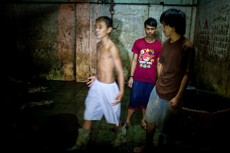 http://www.peterodriscollphotography.com/files/gimgs/40_lifeblood-27.jpg