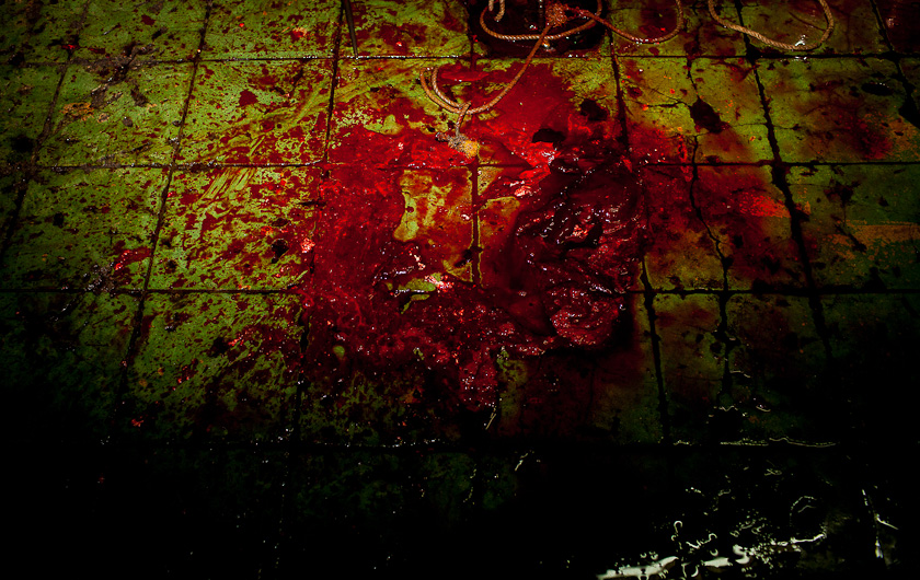 http://www.peterodriscollphotography.com/files/gimgs/40_lifeblood-9.jpg