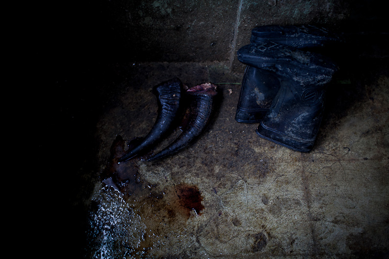 http://www.peterodriscollphotography.com/files/gimgs/40_lifeblood.jpg